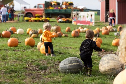 French Prairie Gardens Family Farm In St Paul